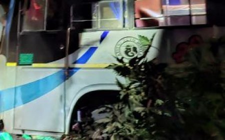 Bus carrying marriage party members crashes into shop, 12 injured