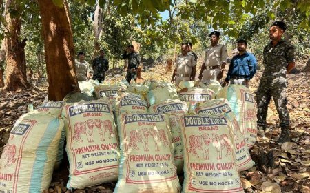 କନ୍ଧମାଳ ଜିଲ୍ଲା ପୋଲିସ ୫ଟି ଥାନା ଅଞ୍ଚଳରେ ଏକ କାଳୀନ ଚଢ଼ାଉ କରି ବିପୁଳ ପରିମାଣର ଗଞ୍ଜେଇ ଜବତ