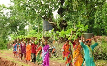 National Wildlife Day: Over 2 lakh trees to be planted this year to enhance the habitat of black tigers in Odisha