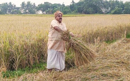 Empowering farmers through knowledge: The success story of Adatya Kumar Swain