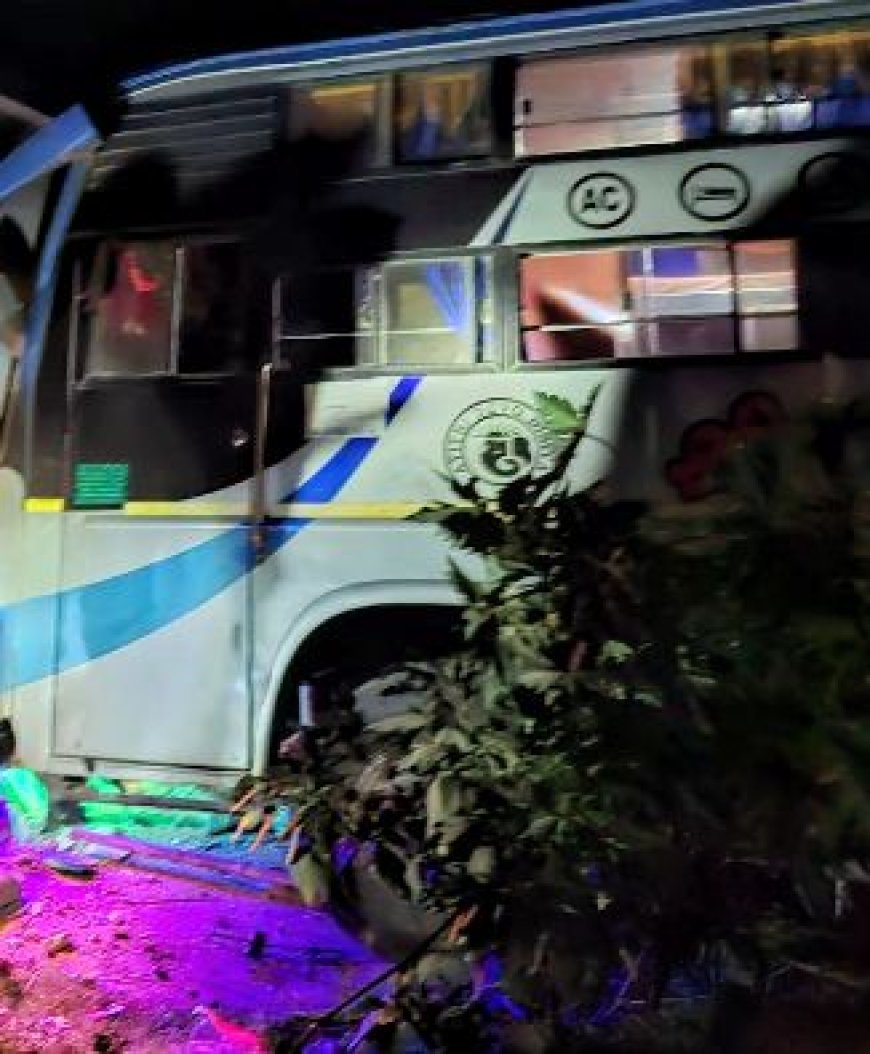 Bus carrying marriage party members crashes into shop, 12 injured