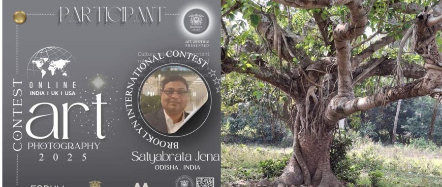 Odisha's Satyabrata Jena nominated for Brooklyn International Culture Century Art & Photography Contest 2025