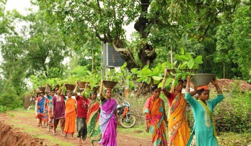 National Wildlife Day: Over 2 lakh trees to be planted this year to enhance the habitat of black tigers in Odisha