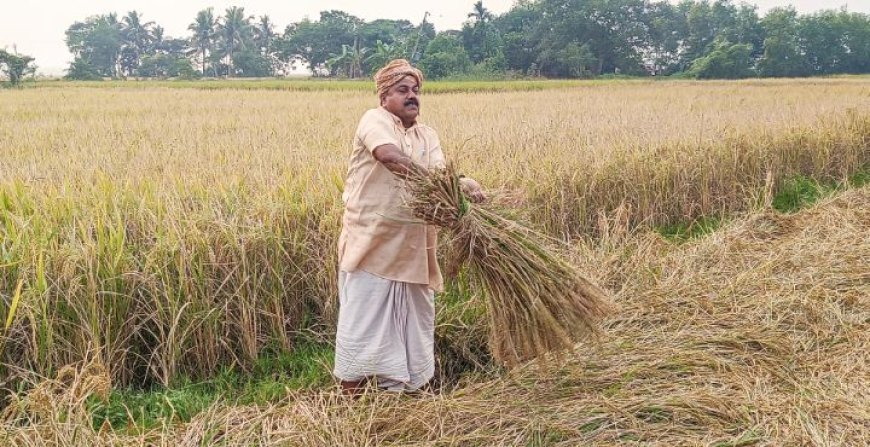 Empowering farmers through knowledge: The success story of Adatya Kumar Swain