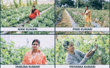 International Women's Day: Four women millionaire farmers rewrite the rules of success