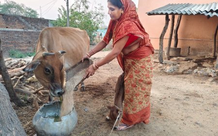 Empowering Rural Livelihoods: Manjulata’s Inspiring Journey
