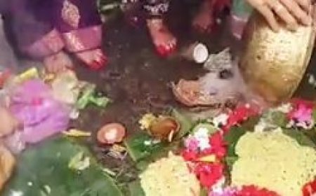 Maa Mangala temple at Kakatpur witnesses large crowd of devotees on first Tuesday of Chaitra month