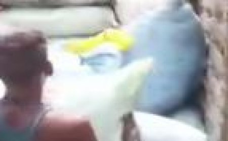 ପୁରୀରେ ବେଆଇନ ବାଣ ଗୋଦାମରେ ଚଢ଼ାଉ