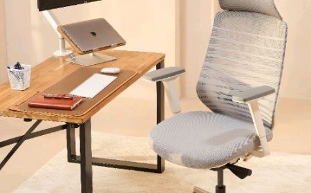 Best office chairs to save your back during workday
