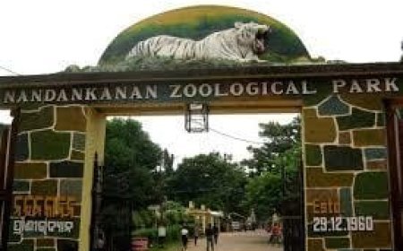 Seized wildlife from Bhubaneswar airport reaches Nandankanan