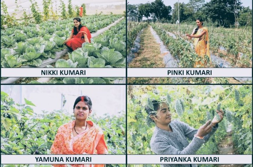 International Women's Day: Four women millionaire farmers rewrite the rules of success