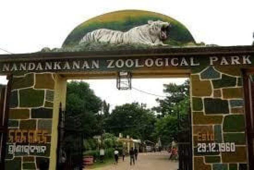 Seized wildlife from Bhubaneswar airport reaches Nandankanan