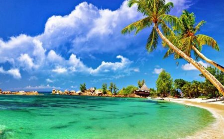Foreigner arrested for illicit visit to Andaman’s isolated area