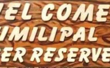 Tiger counting exercise begins at Similipal