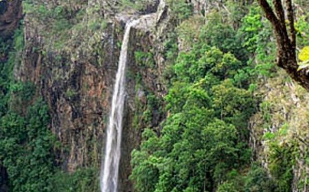 Tiger census begins at Similipal