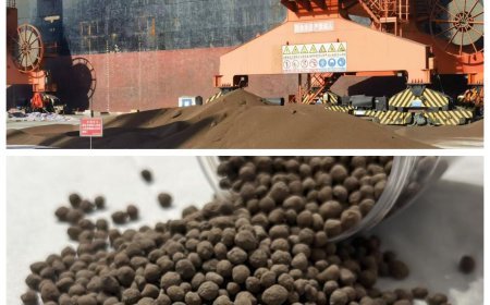 Agrifields DMCC announces plans to expand into Korea, introduce new age water soluble fertilizer products in India by end FY'26