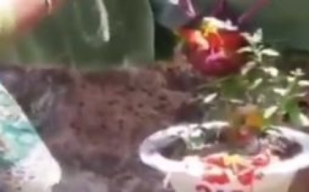 Odisha celebrates Maha Bisuba Sankranti with religious fervour