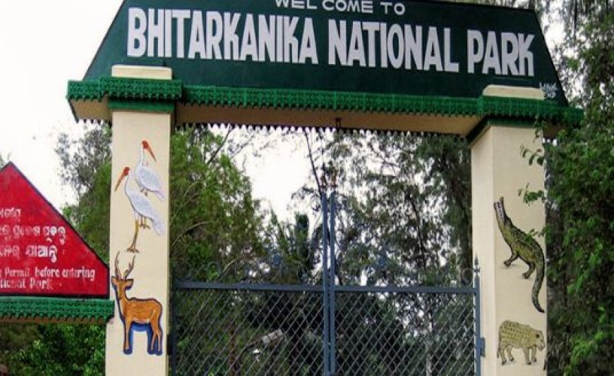 Bhitarkanika National Park to remain closed for visitors from May 1