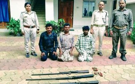 AI cameras help arrest three poachers in Similipal