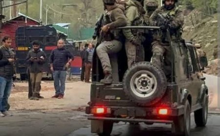 The Kashmir Fiasco