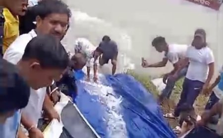 मत्स्य विभाग ने बालेश्वर की बुढ़ाबलंगा नदी में छोड़ी 7.5 लाख उन्नत किस्म की मछलियों की अंगुलिका