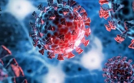 Odisha reports five more Covid-19 cases