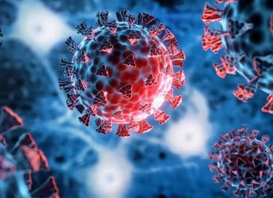 No new COVID positive case reported in Odisha since long time: Public Health Director
