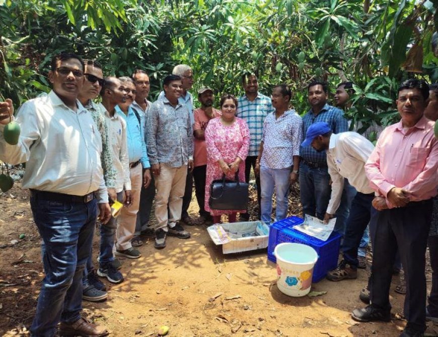 Odisha advances Mango Value Chain in Patnagarh to empower farmers & boost exports