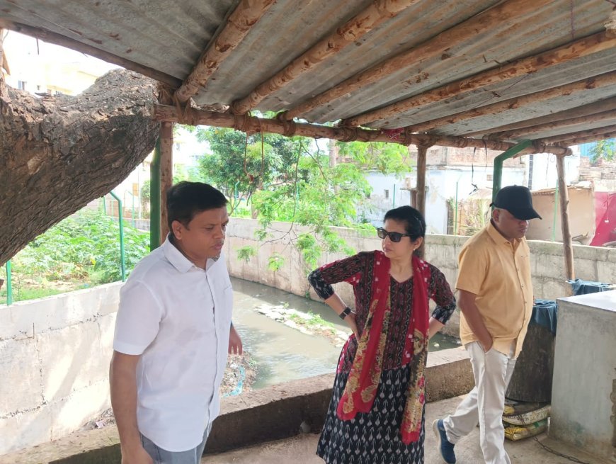 Usha Padhee reviews urban flooding, water body development at Ganguanala & Daya West Canal