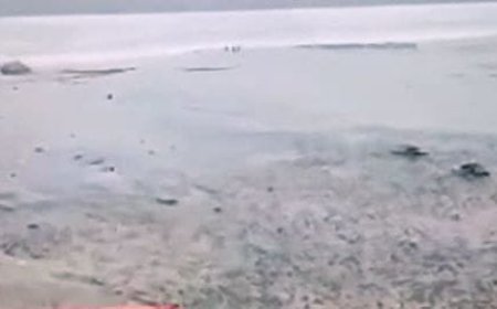 Rising sea levels poses threat for Odisha's coastal regions; saltwater breaches large portion of Siali beach