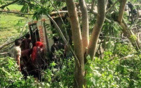 50 injured as bus carrying passengers overturns in Malkangiri