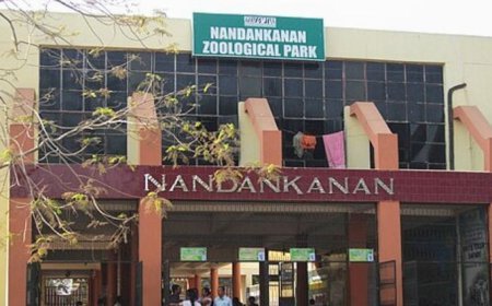 Nandankanan Zoo gets two tiger cubs