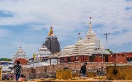 AI cameras to be used for crowd management during Snana Yatra
