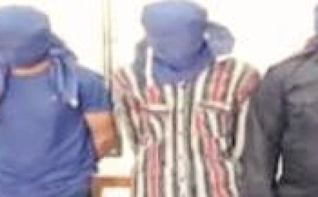 Gopalpur gang-rape: Odisha DGP directs CB probe