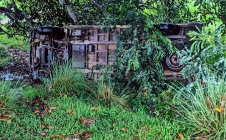 Five injured as 108 ambulance overturns in Keonjhar