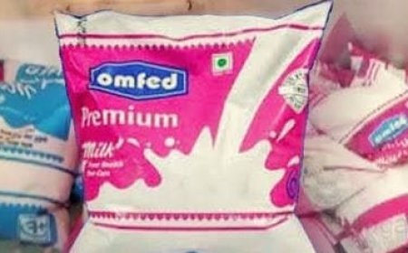 OMFED milk prices becomes costlier