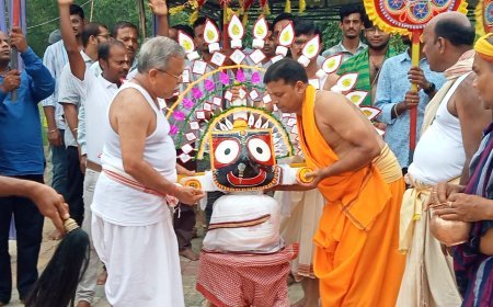 Grand Rath Yatra Celebrated at Fakir Mohan University: Vice Chancellor Performs All Ritual Duties of the Deities