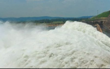 Hirakud Dam to release season's first rainwater on July 6