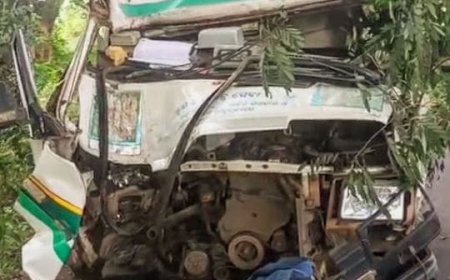 Ambulance crashes into tree, 2 critically injured