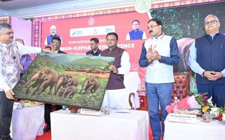 World’s first Asian Elephant Species Survival Centre to come up at Chandaka: Odisha CM