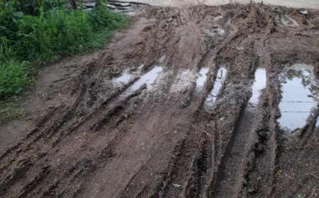 Jambeswarpur Connecting Road in Bad Condition: Villagers Demand Immediate Construction