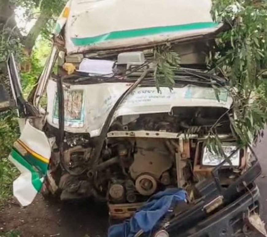 Ambulance crashes into tree, 2 critically injured