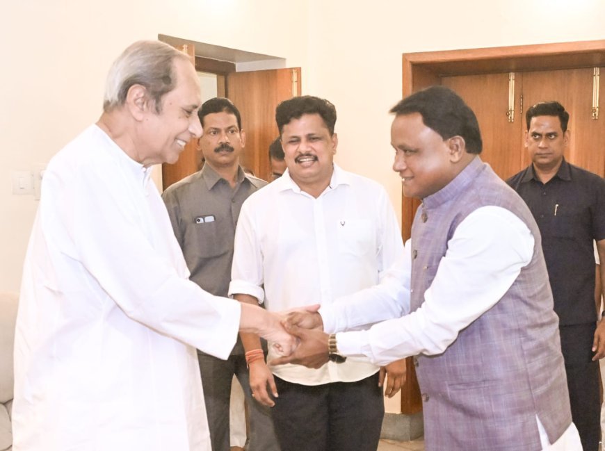 Odisha CM meets Naveen Patnaik
