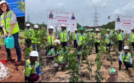 AM/NS India organises massive plantation drive across Odisha locations for Ek Ped Maa ke Naam 2.0