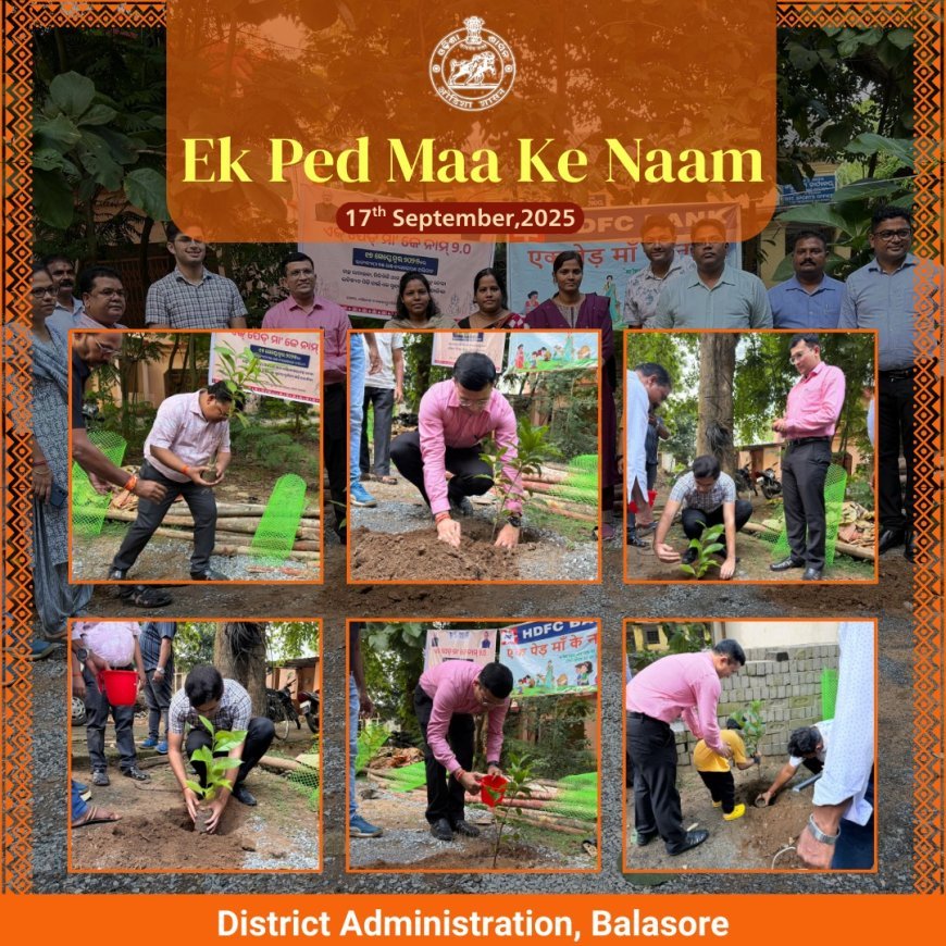 Over 5 Lakh Trees Planted in Balasore under ‘Ek Ped Maa Ke Naam’ Campaign