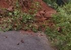 Landslides, flooding sever road connectivity in Gajapati