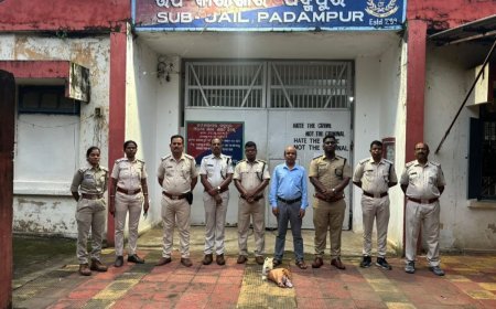Bargarh Jail and Sub-Jails raided
