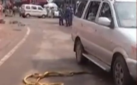 Curfew restrictions relaxed in Cuttack as normalcy returns