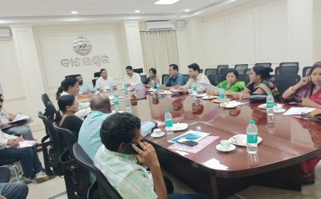 Review Meeting Held on Balasore Municipality Delimitation