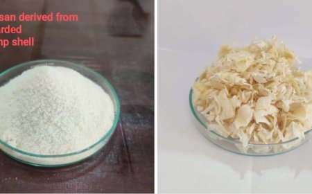 बालेश्वर के वैज्ञानिक को झींगा अपशिष्ट से पर्यावरण-अनुकूल उत्पाद बनाने की तकनीक पर पेटेंट